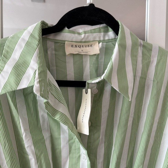 New Anthropologie EXQUISE TOBI MINI SHIRT DRESS GREEN STRIPE - XL - Picture 2 of 7